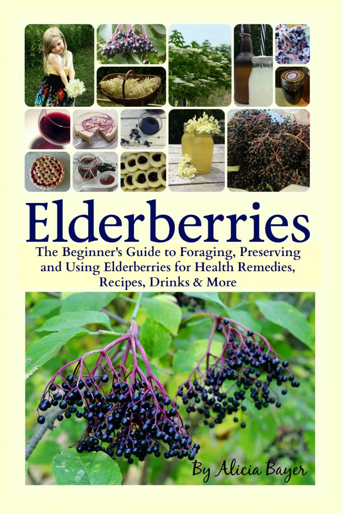 Elderberries grow wild all over the United States, Canada, Europe and beyond, yet most people don't even realize they're there. Now you can learn how to easily find wild elderberries, forage them and grow your own to make medicinal remedies like anti-flu syrup and elderberry oxymel, delicious baked goods like elderberry meringue pie and elderberry thumbprint cookies, elderflower recipes like elderflower fritters and elderflower soda, alcoholic recipes like elderberry wine and elderberry hard lemonade, and lots more. Elderberries and elderflowers are among the most perfect wild foods. They are useful in all sorts of recipes, packed with health benefits that do everything from boost the immune system to cure the flu, and you can even find them for free all over the world -- or grow your own. This comprehensive guide will teach you: The incredible history of elderberries and elder flowers Health studies and traditional medicinal uses The effects of heating and freezing on the medicinal properties of elderberries The most efficient way to get every bit of the anti-flu benefits from elderberries (Hint: it's not elderberry syrup!) How to easily find elderberries, with full-color ID photos and maps of elderberry ranges in the United States and Canada (though you'll also find them elsewhere all throughout the world) How to grow your own elder shrubs from cuttings or wild transplants How to preserve elderberries by freezing, drying, canning and more How to ID elders and how to tell them from so-called poisonous look-alikes Elderflower recipes for teas, pancakes, syrups and more Elderberry recipes for jams, tinctures, oxymels, popsicles, pies, muffins and more Instructions for homemade spirits like elderflower wine, elderberry mead, elderflower-blueberry smashes and elderflower liqueur ice cream floats -- just to name a few! And much more With over 60 recipes for health remedies, baked goods, spirits, jellies and more! The amazing health benefits of elderberries are well known. There's no more need to spend up to $20 a pound on dried elderberries when you can find them all around you once you know where (and when) to look. There's also no more need to limit yourself to elderberry syrup when there are so many better ways to get the health benefits of elderberries. And once you know how to find or grow your own elderberries, there's no need to stop at medicinal recipes when you'll have enough to also make all kinds of delicious jellies, liqueurs, baked goods, drinks and other delicious treats. Whether you're a novice forager wanting to find local (free!) sources of elderberries for anti-flu syrup, a homeowner interested in growing elderberries and finding delicious ways to preserve them, or a veteran forager looking for fun new ways to make use of elderberry and elderflower bounties, this comprehensive book has something for you.