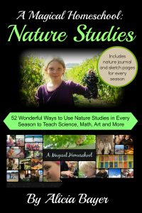 A Magical Homeschool: Nature Studies: 52 Wonderful Ways to Use Nature Studies in Every Season to Teach Science, Math, Art and More