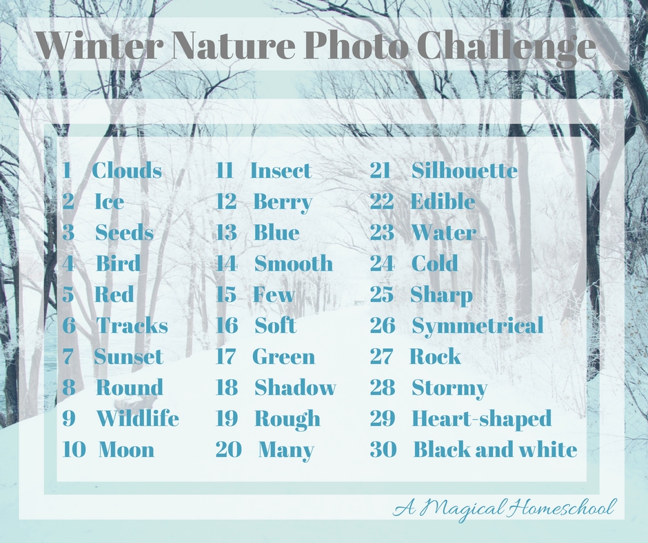 Winter nature photo challenge