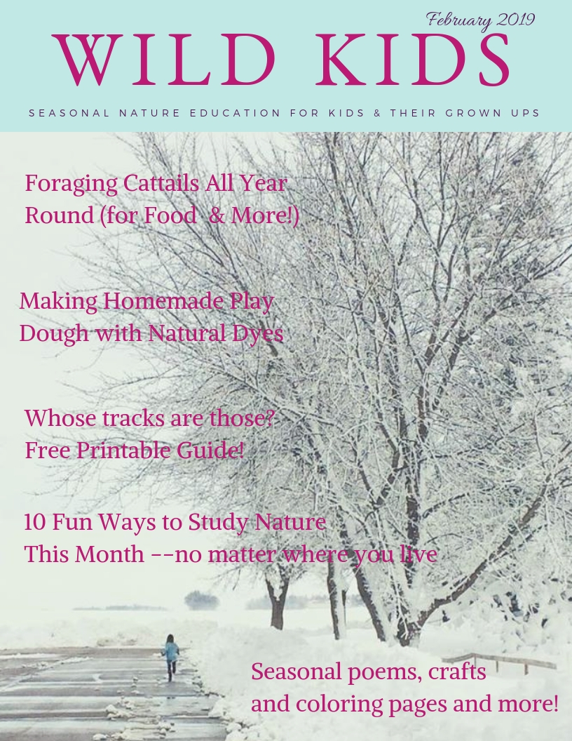 FREE New Printable Nature Magazine for Kids! – Alicia Bayer