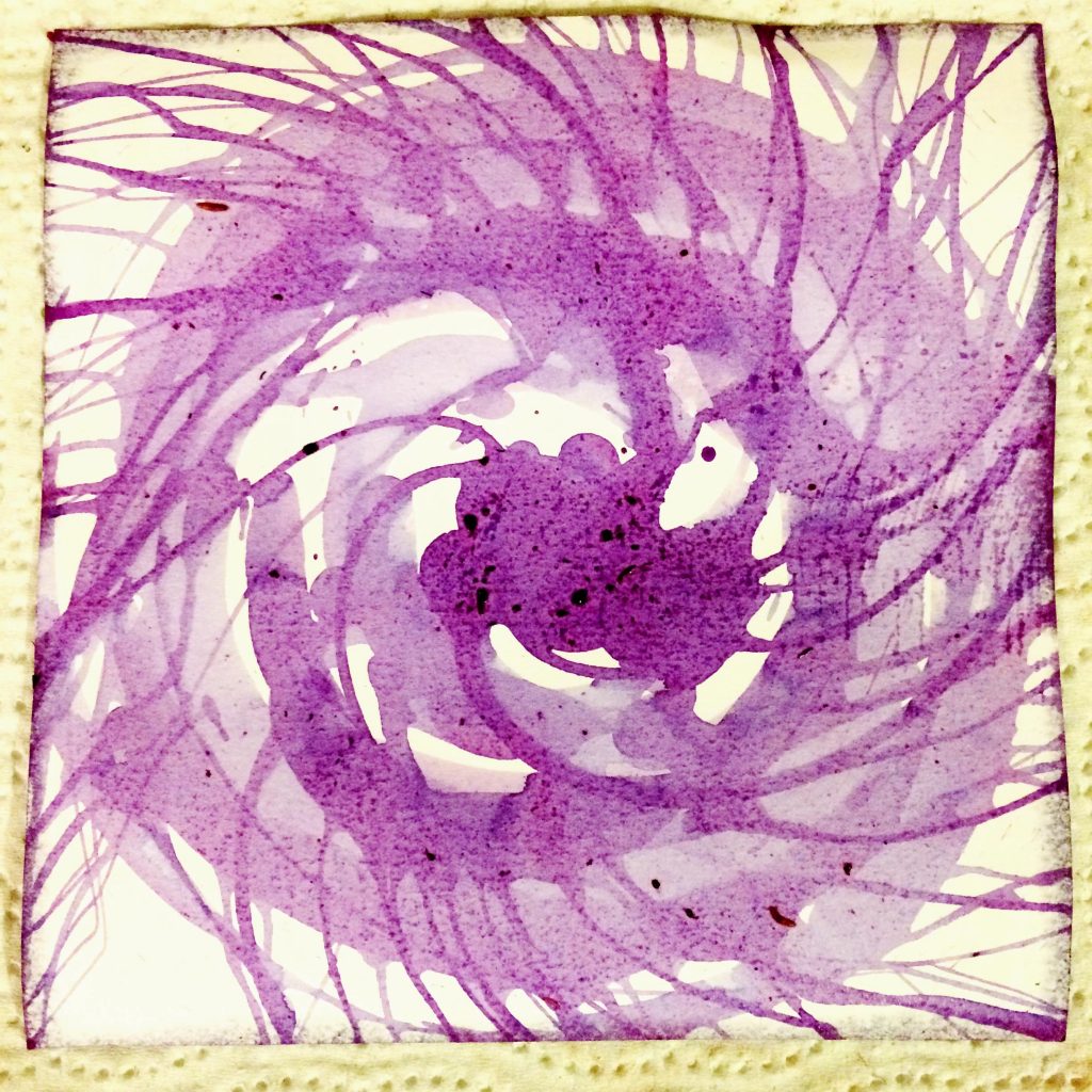 elderberry spin art