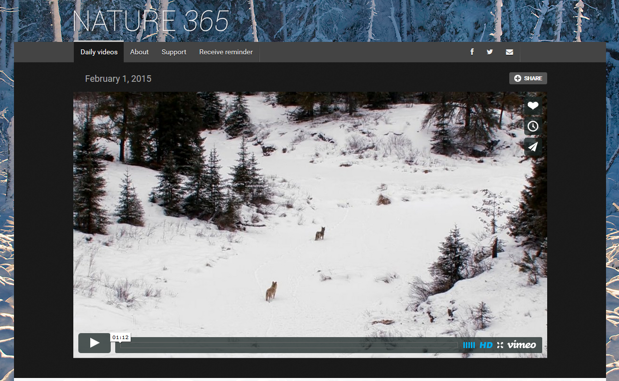 Renowned nature photographer launches wonderful new 365-day video project