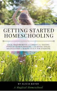 Getting Started Homeschooling: Everything You Need to Know About Legal Requirements, Curricula, Testing, Types of Homeschooling, Learning Styles, Socialization and Making It Fun for Everyone 