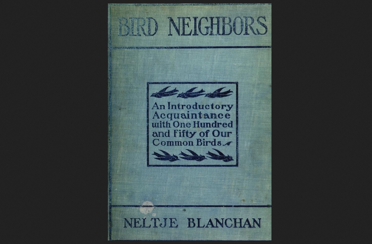 book bird academy books pdf free download telegram