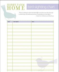 Free bird sighting log sheets!