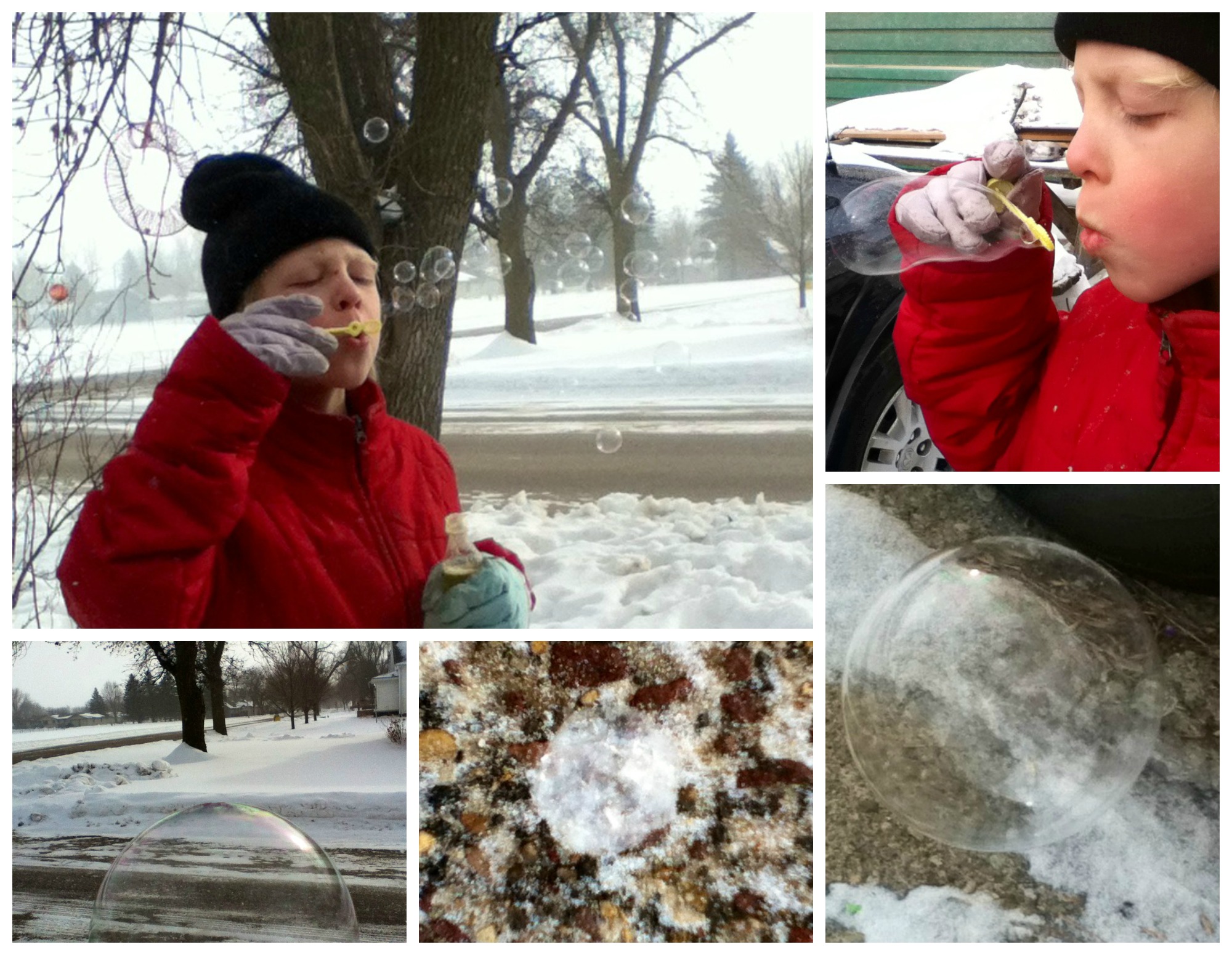 The science of frozen bubbles and how to make them in cold climates or warm