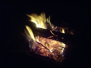 Campfire science!