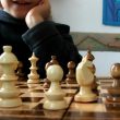 Kids can learn to play chess with free 84-page book online