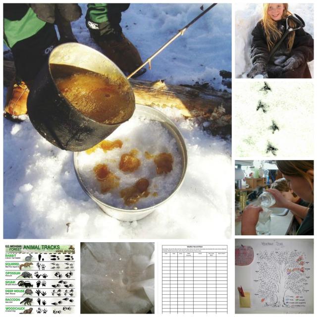 Weather trees to maple syrup candy: Science and nature fun for January 