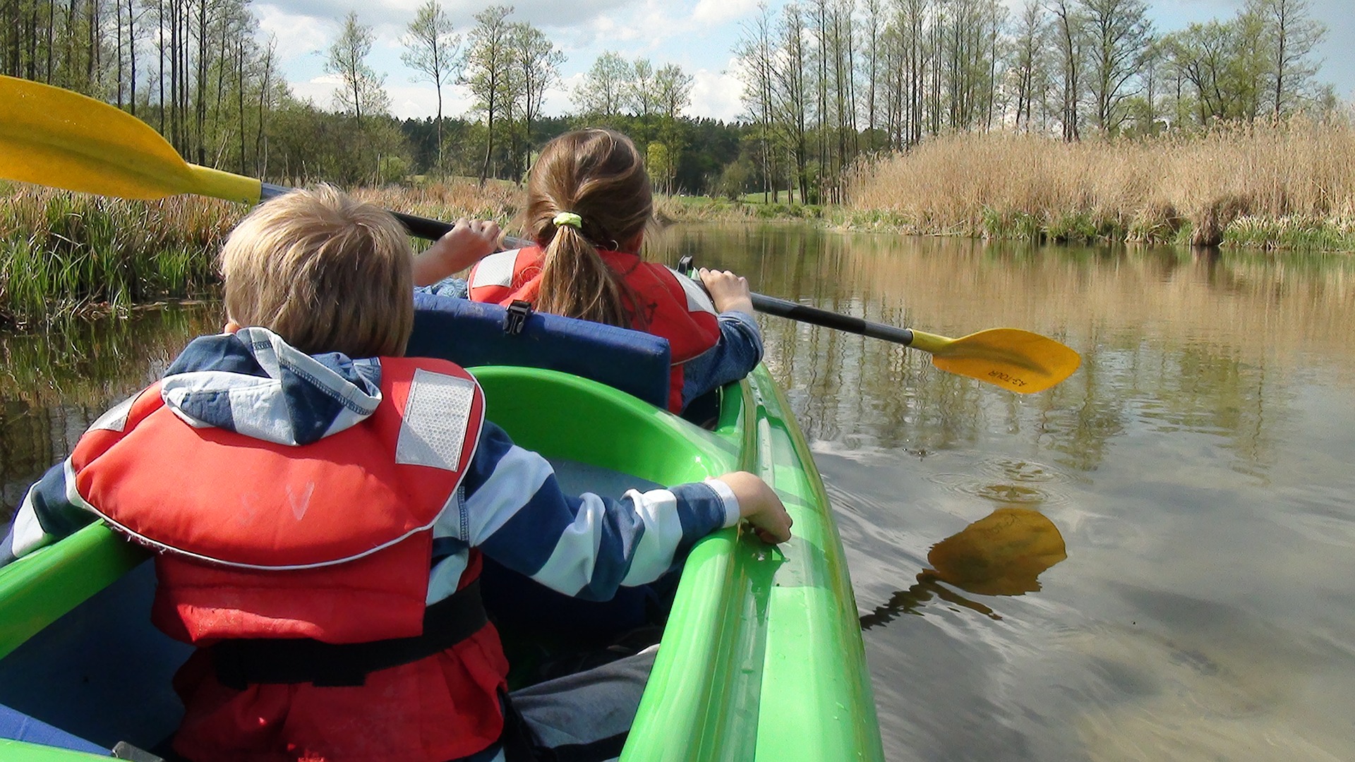 5 Fun Ways to Enjoy Nature Studies in June