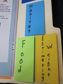 Designing your own lapbooks