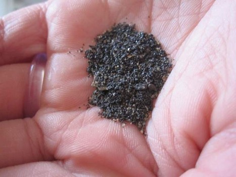 Find meteorites at the beach!