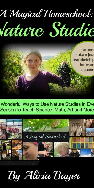 A Magical Homeschool: Nature Studies