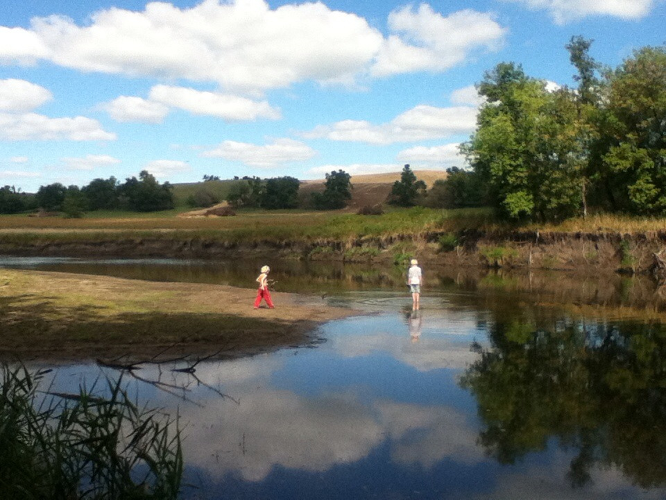 10 Reasons nature study should be a priority in your homeschool 