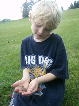 Summer science fun