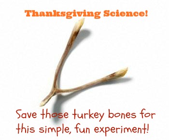 Don't toss those turkey bones! Easy Thanksgiving science