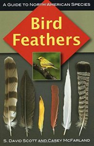 Bird Feathers: A Guide to North American Species 