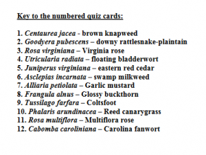 FREE printable botany plant ID cards