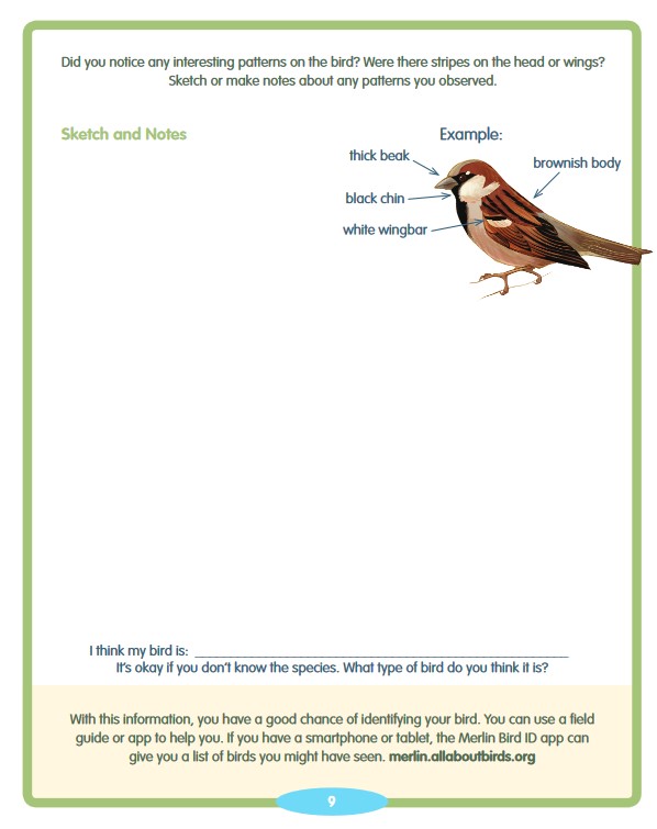 BirdSleuth free printable bird guide