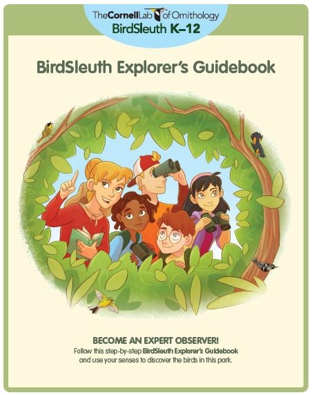 bird guide book for kids