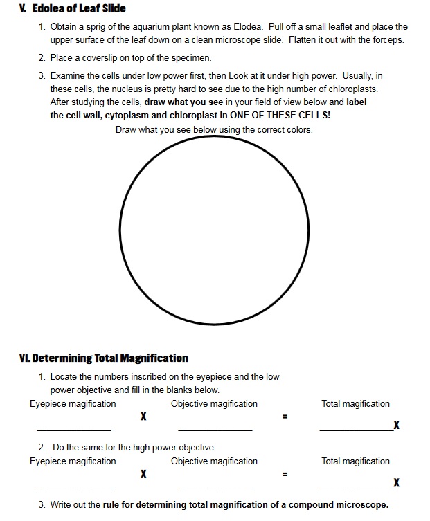 Free 9th Grade Animal Biology Curriculum 