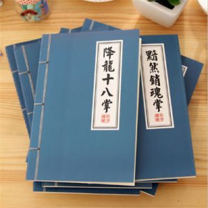 chinese bujo journal