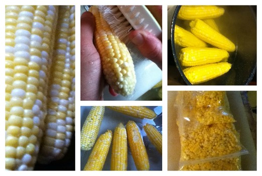 Inexpensive Corn for Freezing from Local Farms