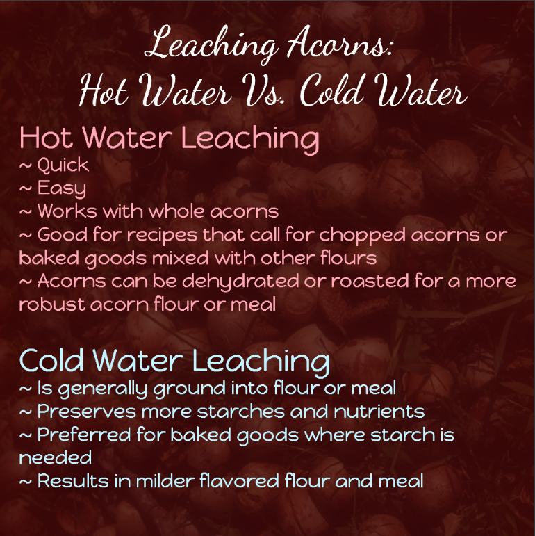 Benefits of hot water and cold water processing of acorns