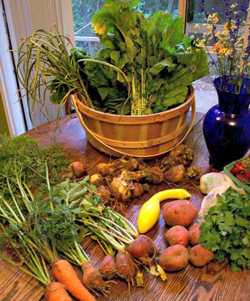 Roots to Stems:  How to use every part of your produce!