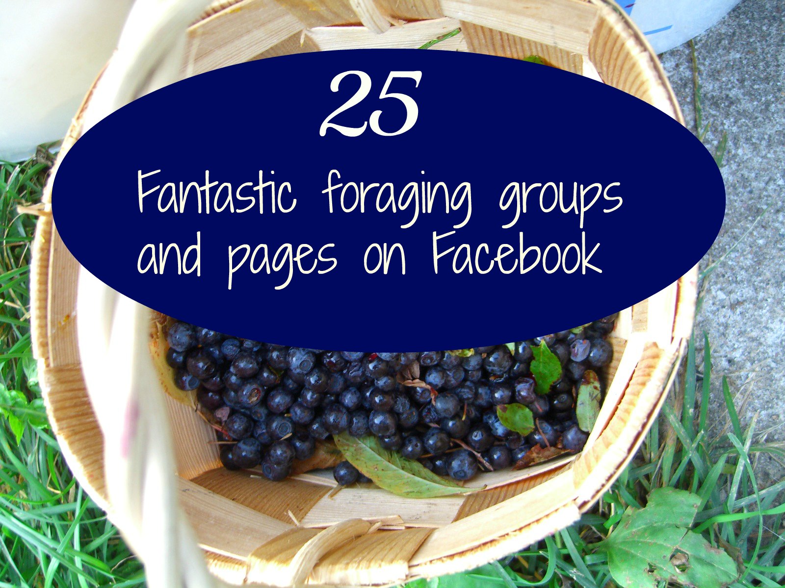 25 Fantastic foraging groups and pages on Facebook