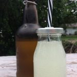 How to make elderflower syrup (or elderflower sparkling wine)!