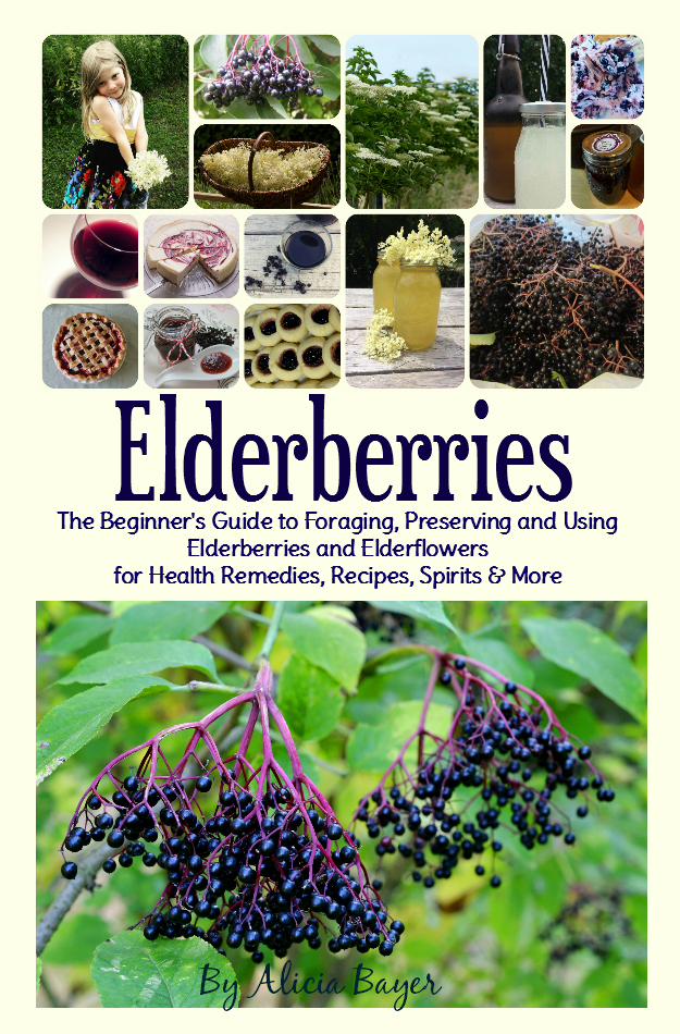 Elderberries: The Beginner's Guide to Foraging, Preserving and Using Elderberries for Health Remedies, Recipes, Drinks and More