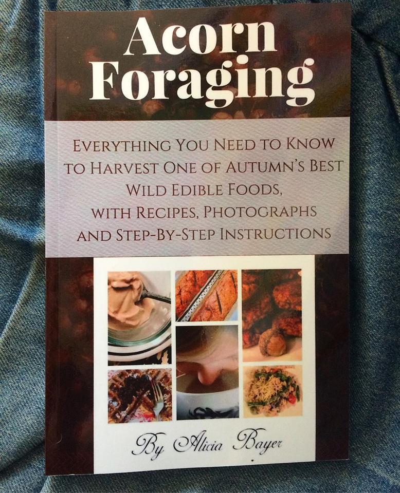 Acorn Foraging Book