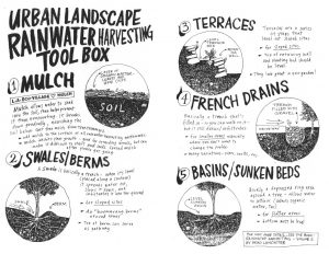 Fabulous free permaculture book teaches DIY urban rainwater harvesting 