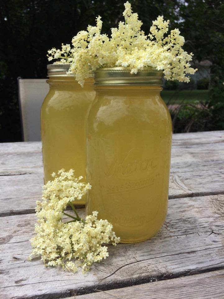 how to make elderflower syrup