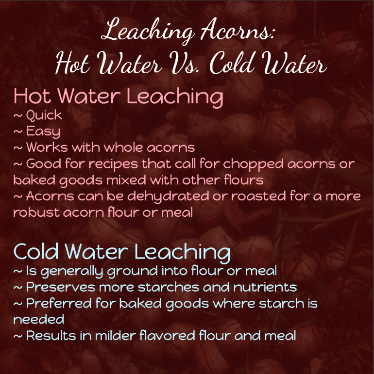 Hot and cold water leaching of acorns