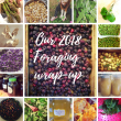Our 2018 foraging wrap up