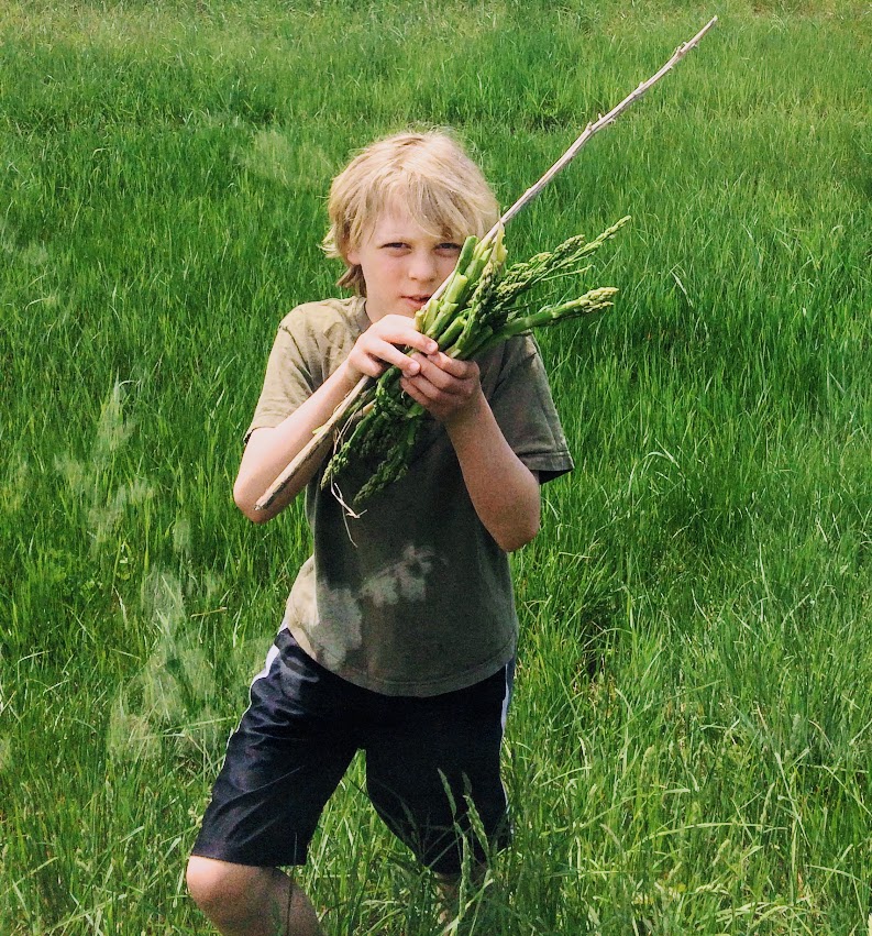 kids foraging wild asparagus