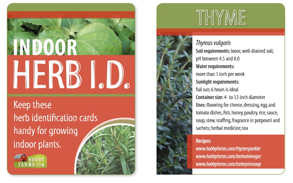 Free printable indoor herb ID cards