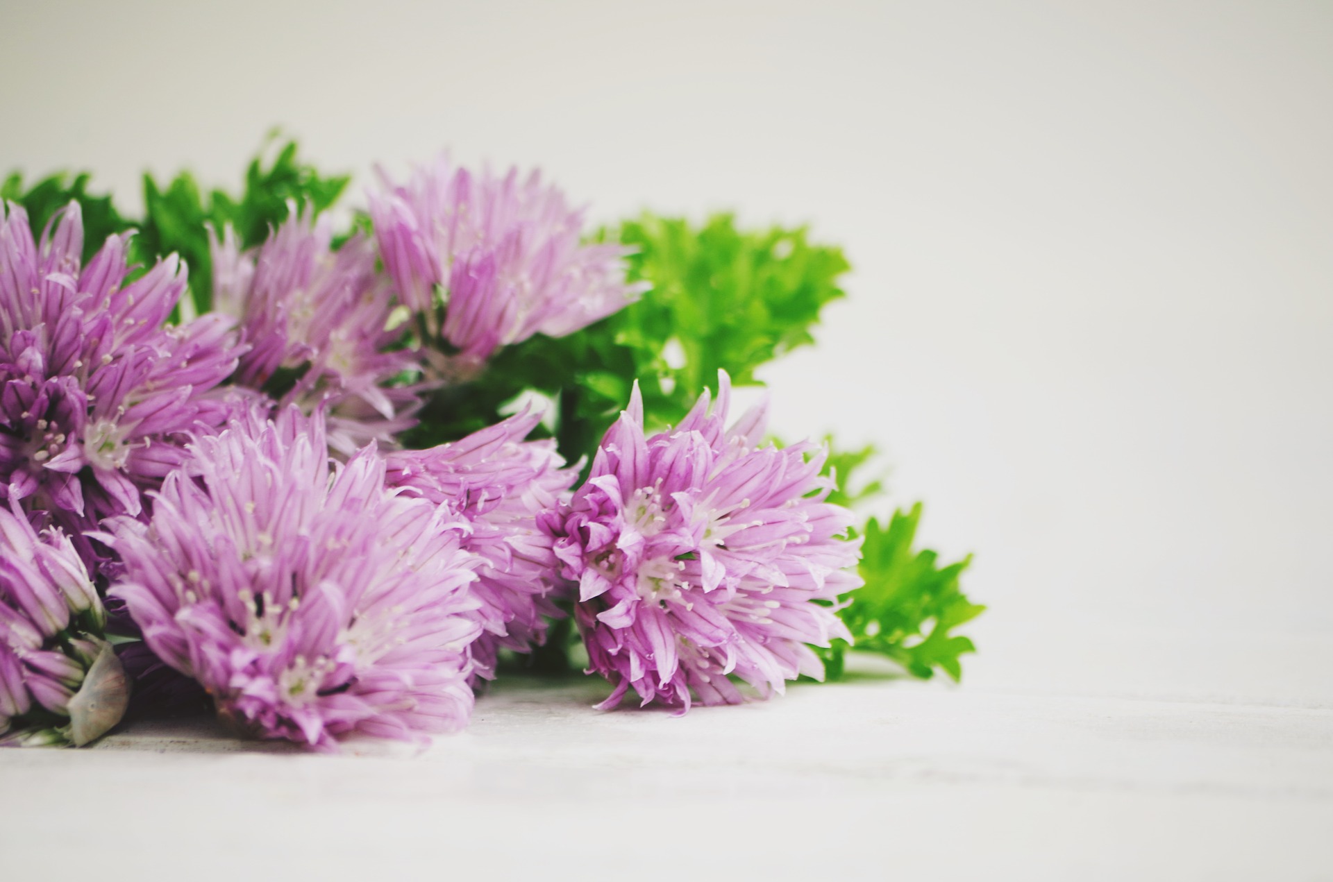 Edible flowers