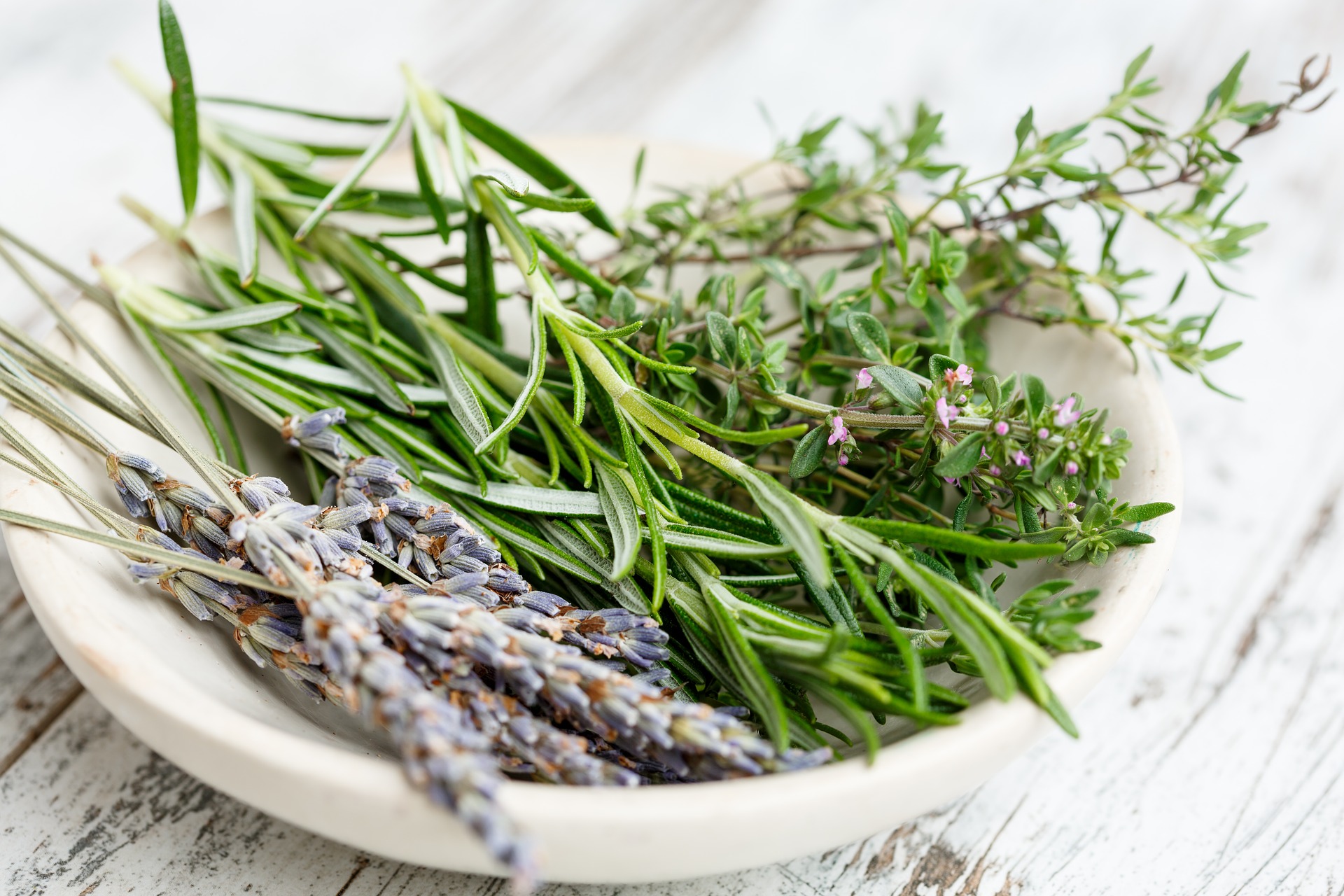 lavender herbs edible flowers