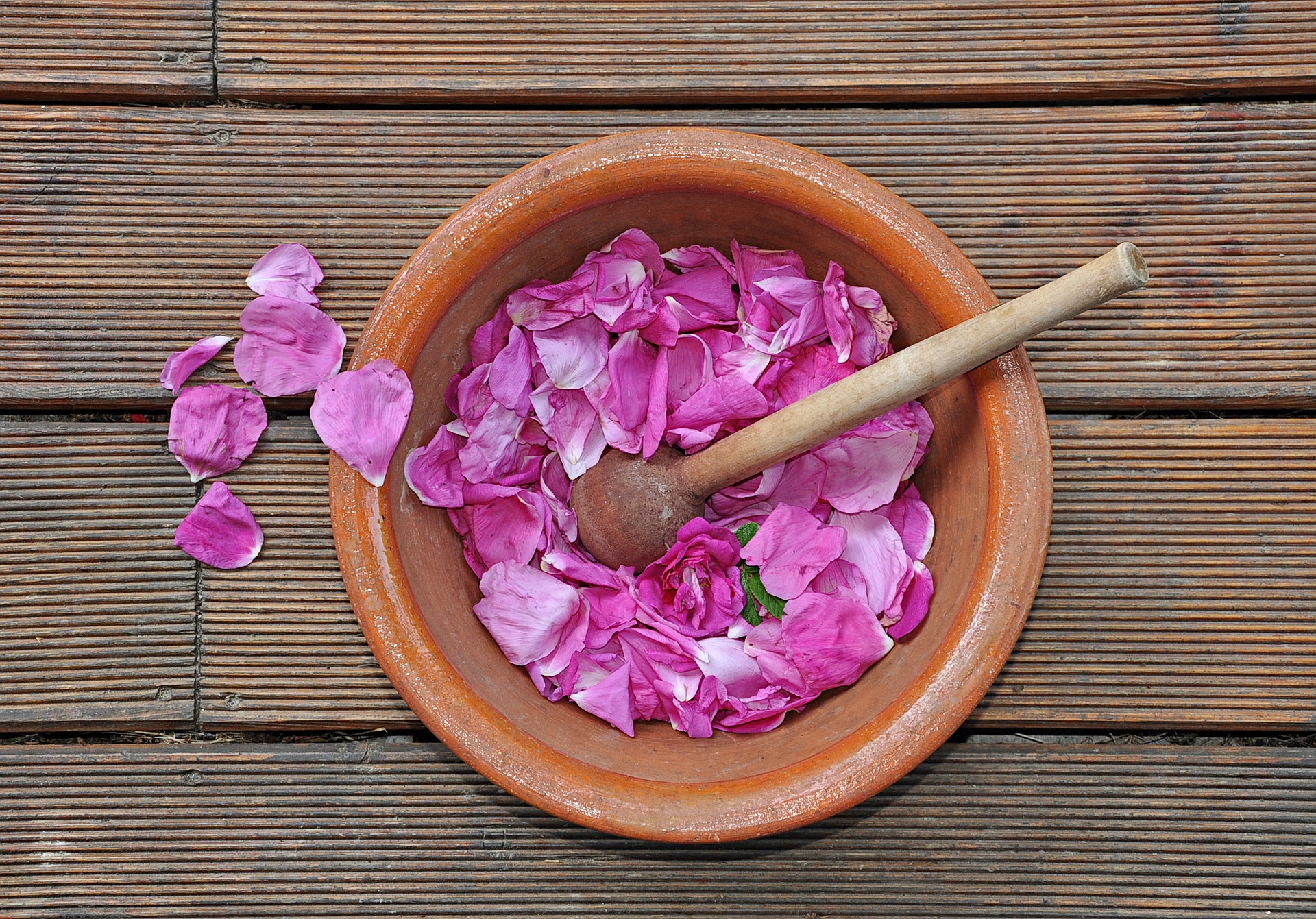 edible rose petals