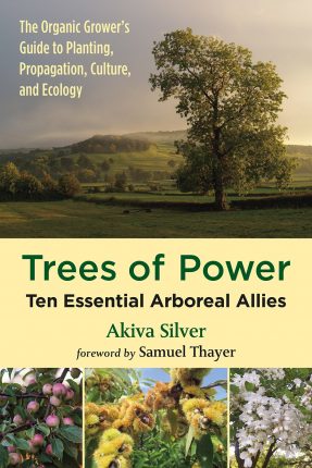 Trees of Power Review