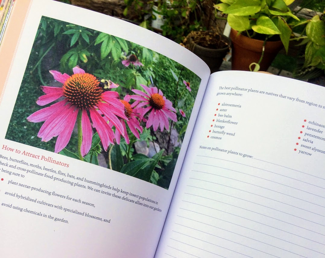 Review: The Everyday Sanctuary Workbook