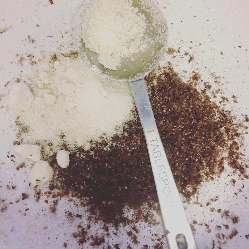 foraging and using dock seed flour