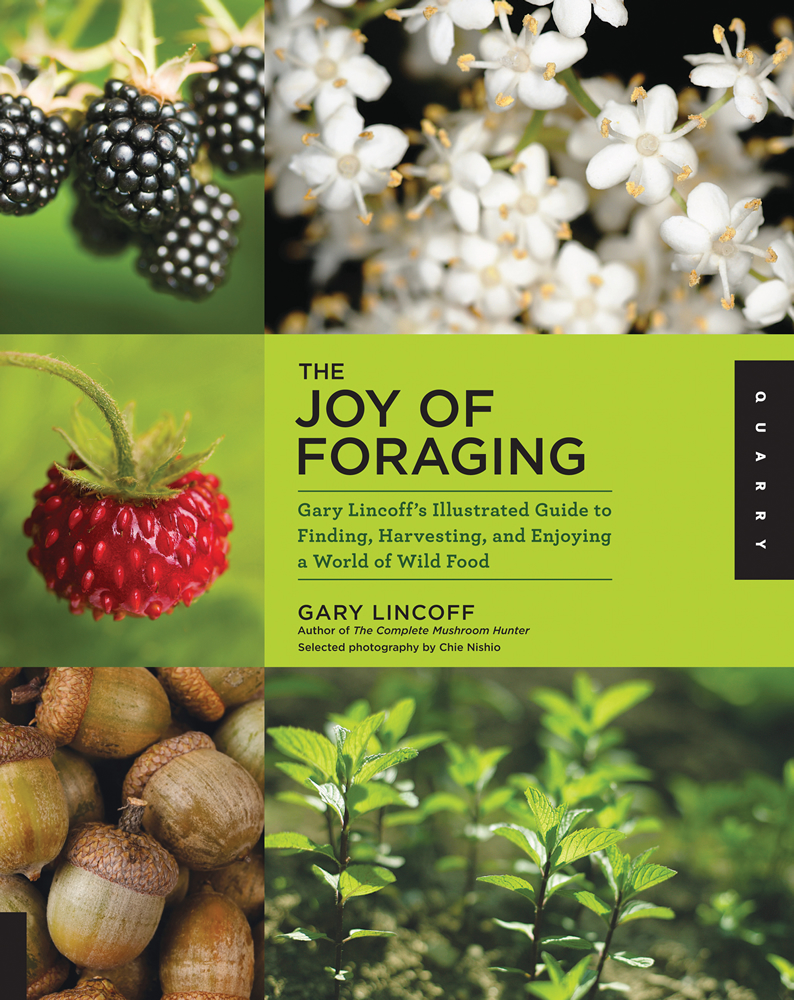 The Joy of Foraging: Gary Lincoff's Illustrated Guide to Finding, Harvesting, and Enjoying a World of Wild Food