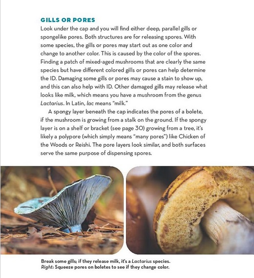 How to Forage for Mushrooms without Dying: An Absolute Beginner's Guide to Identifying 29 Wild, Edible Mushrooms 