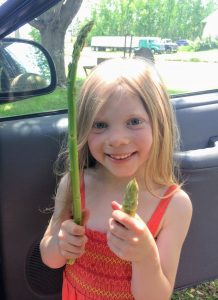 Foraging Wild Asparagus with kids