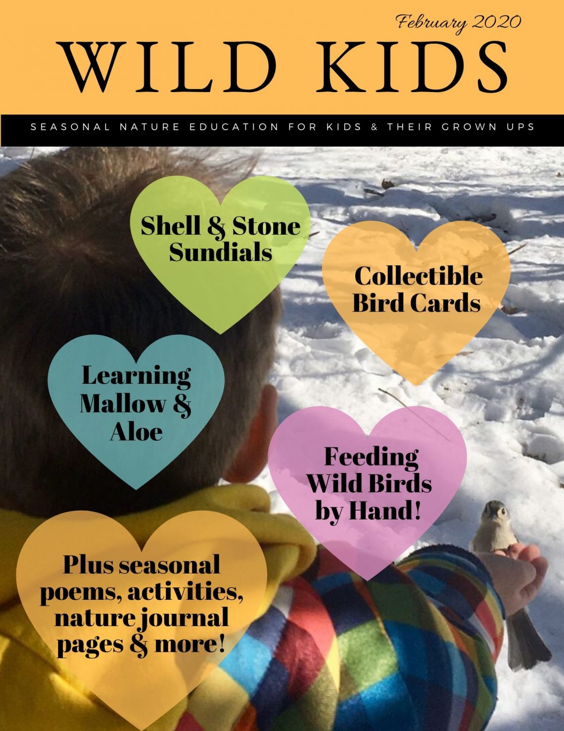 Feb 2020 Wild Kids Magazine