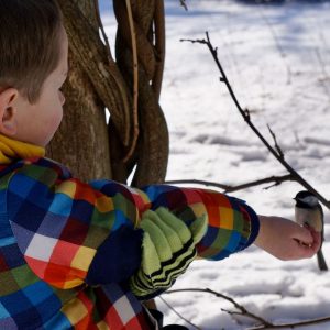 Feeding wild birds by hand